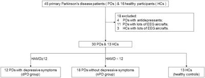 P1 evoked by facial expression images is enhanced in Parkinson’s disease patients with depressive symptoms